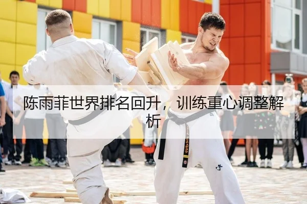 陈雨菲世界排名回升，训练重心调整解析